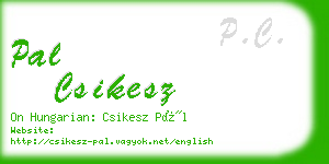 pal csikesz business card